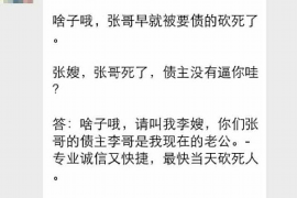 金湖为什么选择专业追讨公司来处理您的债务纠纷？